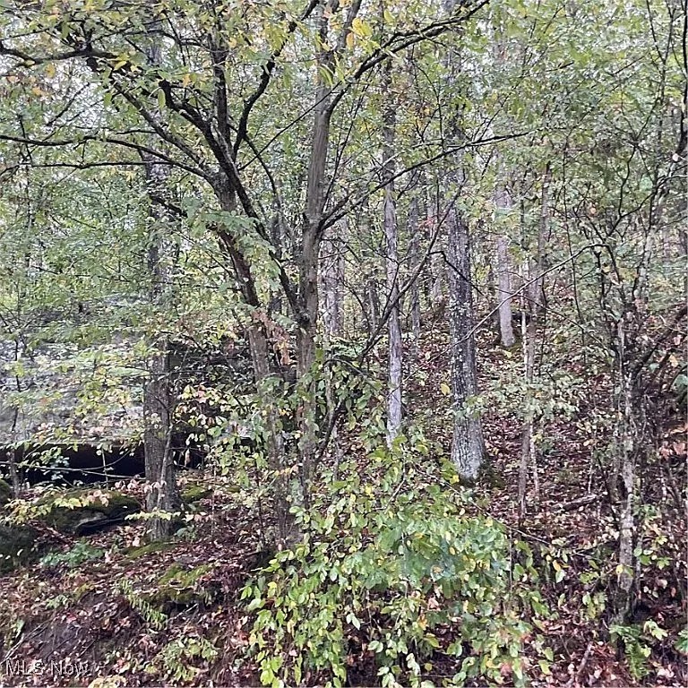 Private Retreat with River Access & Mature Timber on 39.44 Acres