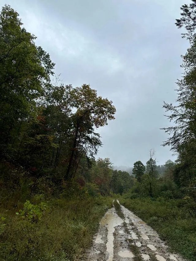 Hunter’s Paradise195 Scenic Acres with Natural Gas Access. 169,900