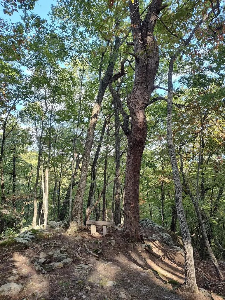 Secluded OffGrid Mountain Retreat with Breathtaking Views (139,000