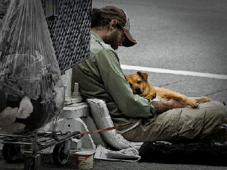 Helping the homeless Adore Animals