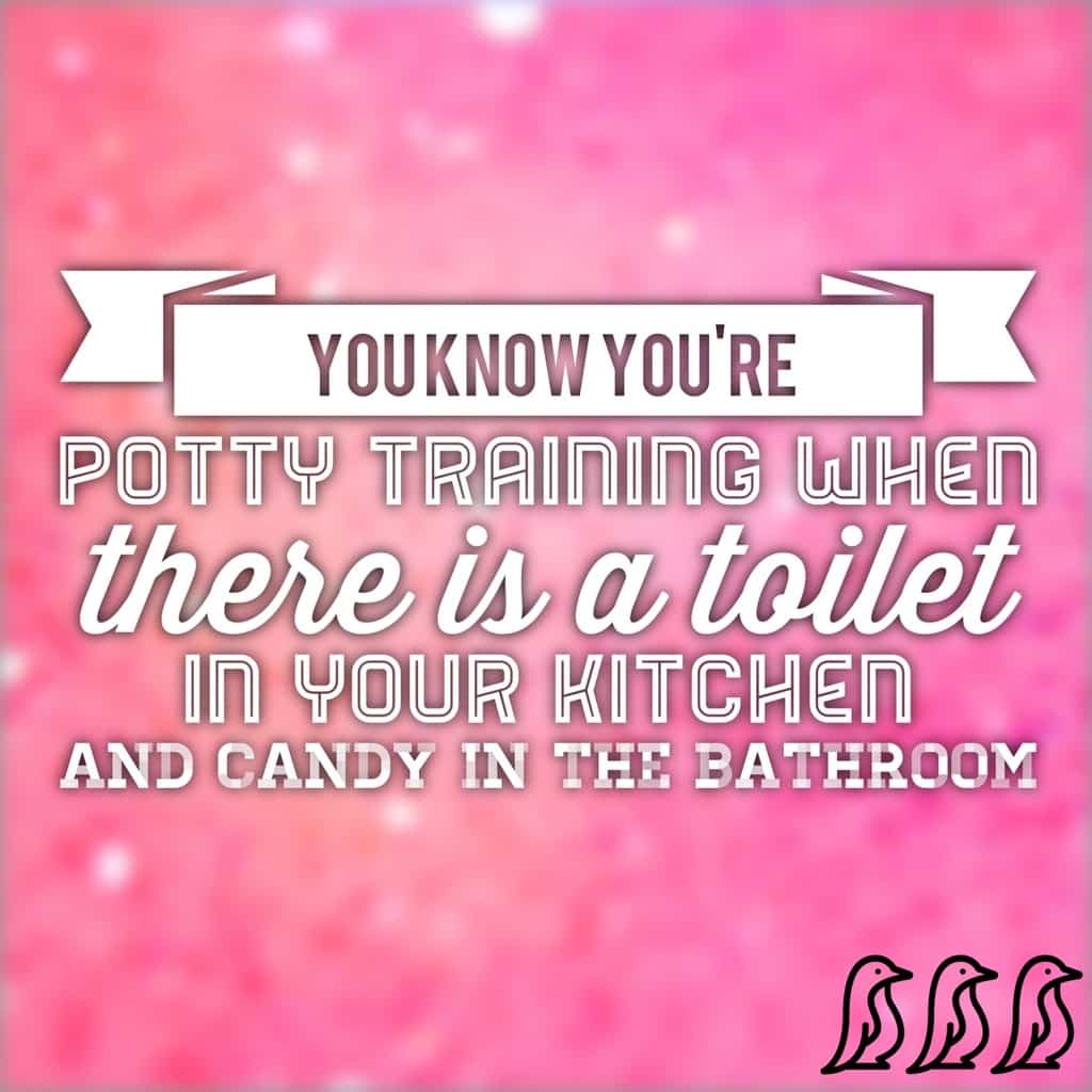 Potty Training & Pacifiers Adore Them