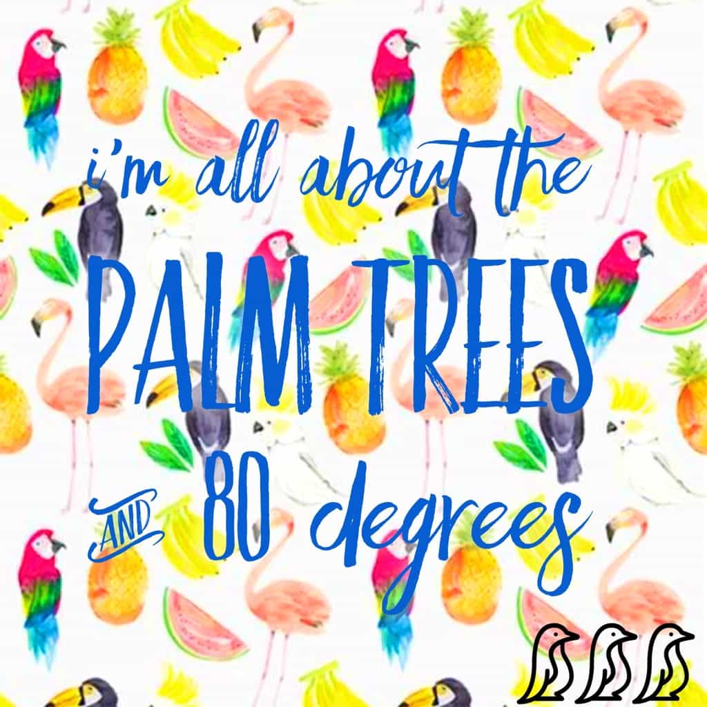 Summer Safety Adore Them