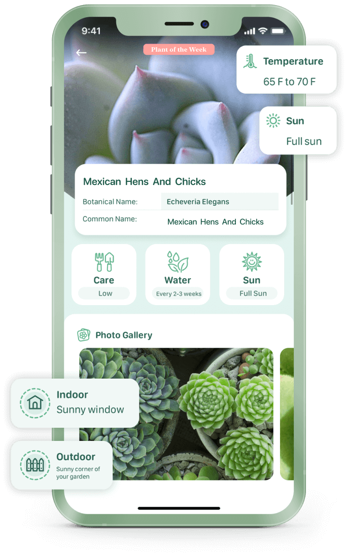 Blossom The Plant Care App! ADPOSTMAN