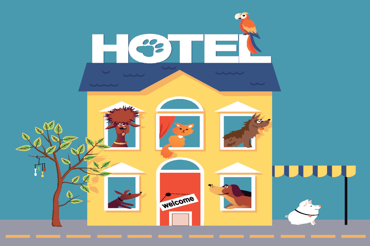How to Attract PetFree Visitors to Your PetFriendly Hotel Adrack
