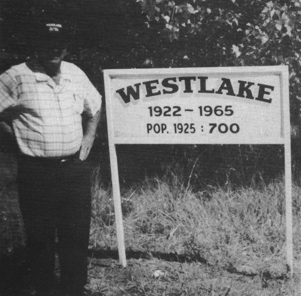 pic4 A Dream in a Teacup