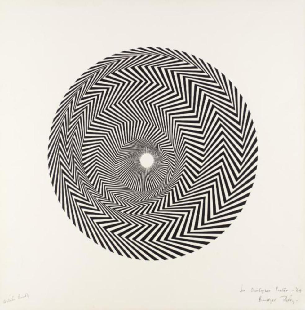 Project Description Illusory Immersion Bringing to Life the OpArt Works of Bridget Riley