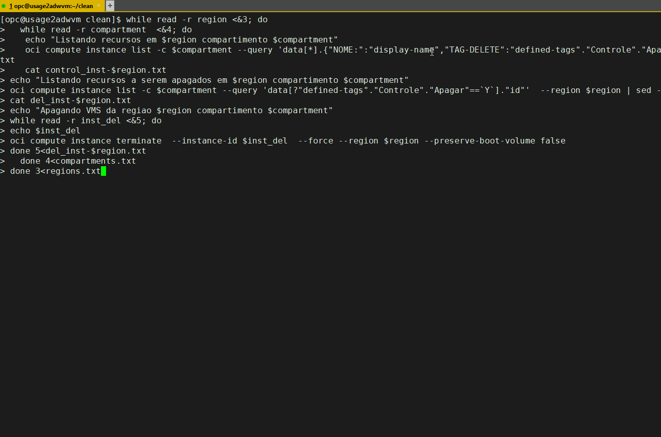 OCI Usando tags e ocicli para automatizar deleção de recursos