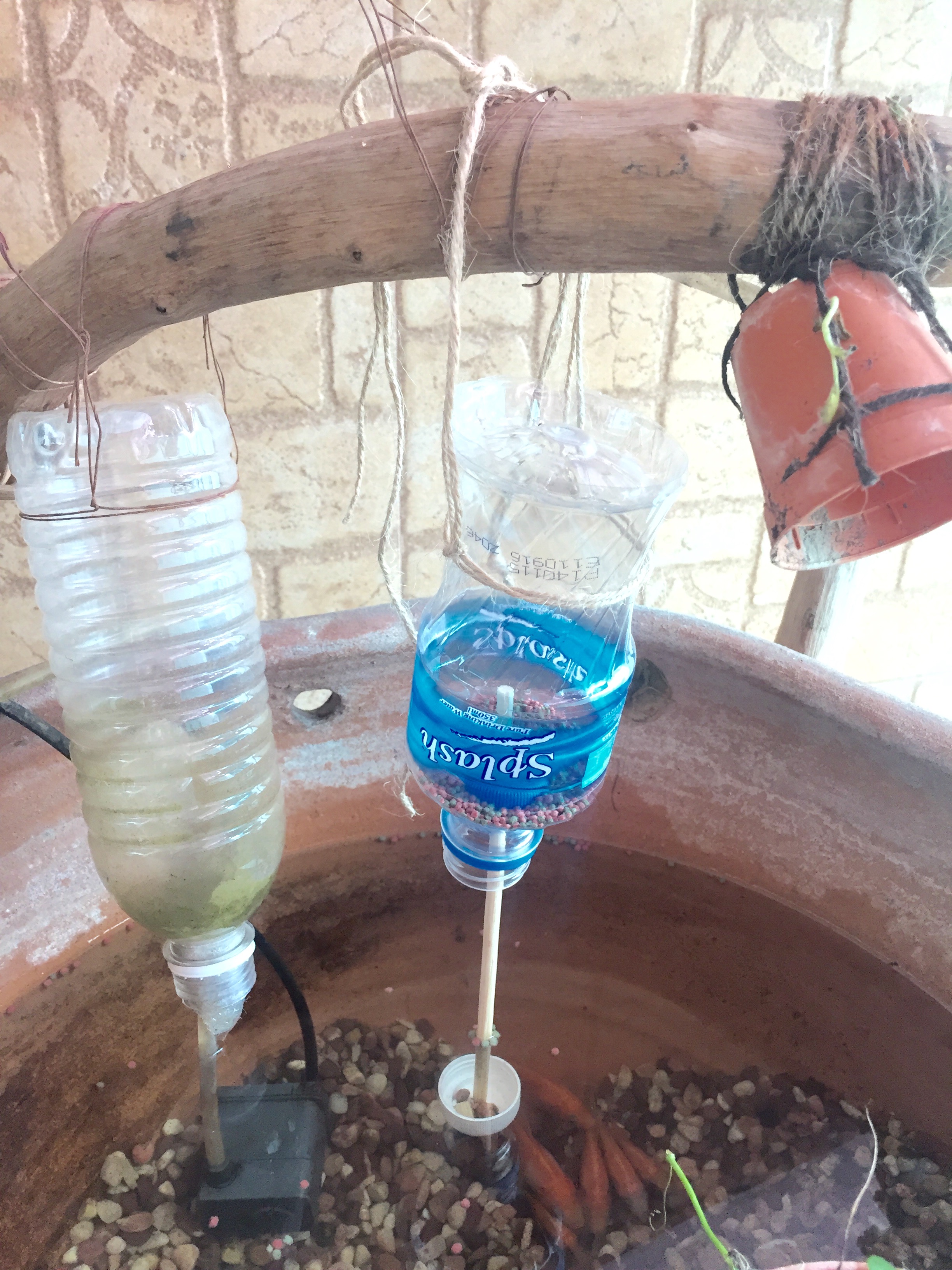 DIY Automatic Drip Feeder for Plants and Fish Adrian Video Image