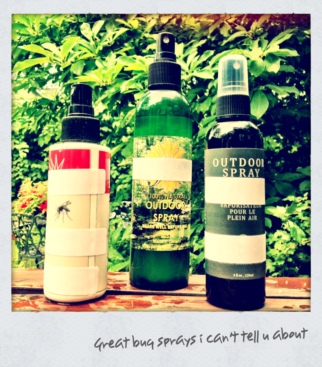 Bite Me Health Canada chews out natural bug repellents Adria Vasil