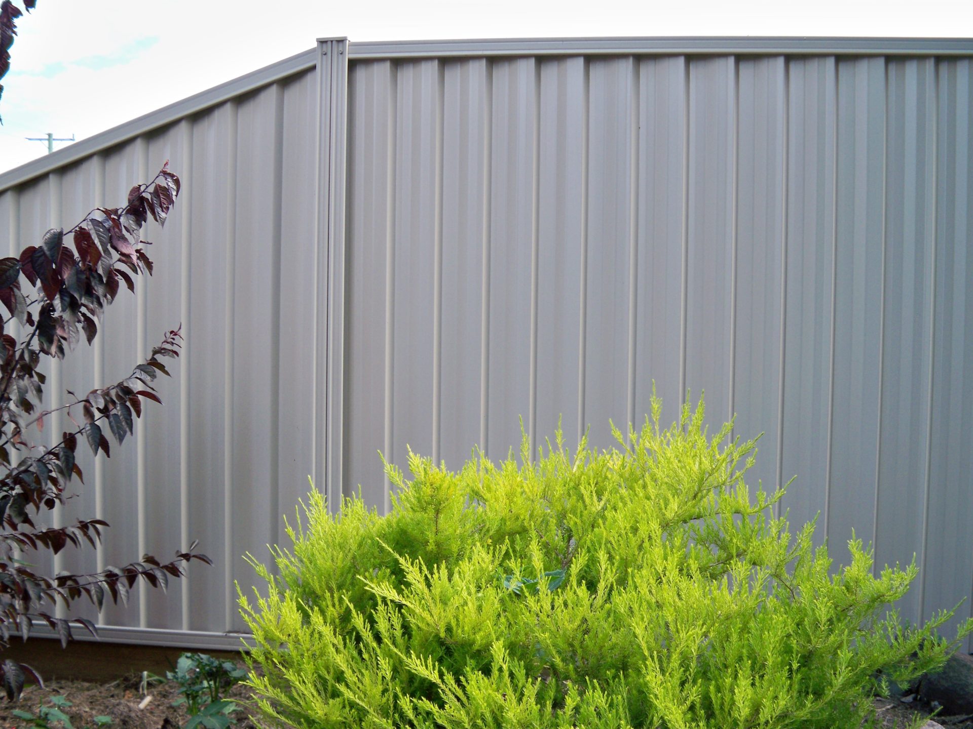 Colorbond Fencing Ballarat Adroit Fencing and Gates