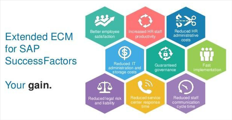 Myxpo Xpo Com Success Factors