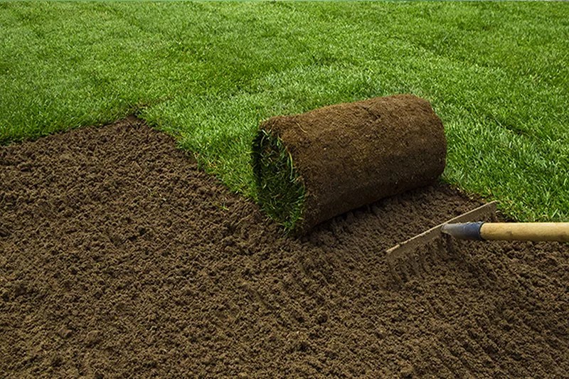 Rulo Çim Rulo Çim Ankara ADR Yapı Peyzaj Peyzaj Ankara