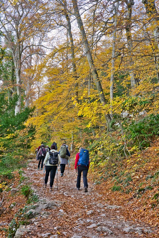 Sainte BAUME et sentier merveilleux Animation et Développement du Sud