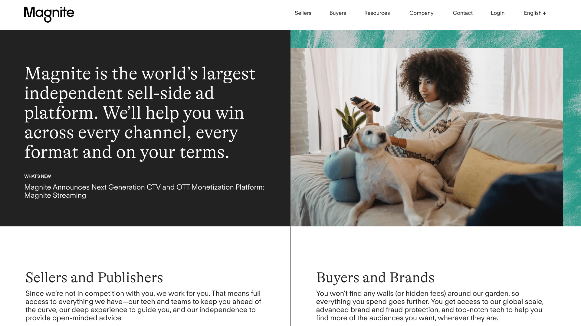 Top 10+ Magnite Alternatives & Competitors (2024 Update)