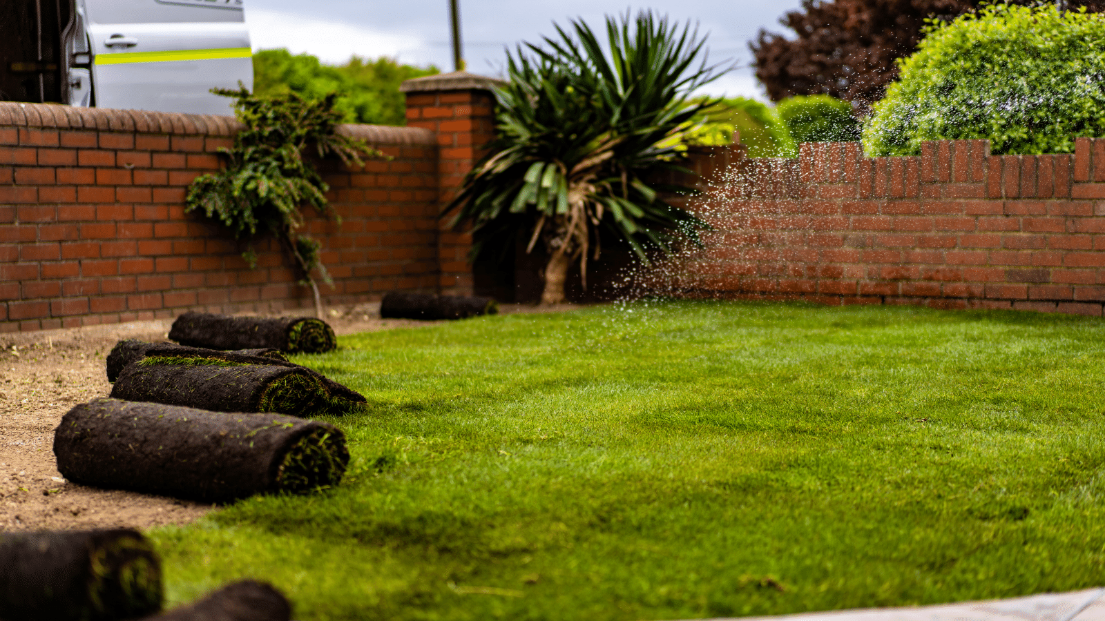 Turfing Definition & Meaning Merriam-Webster