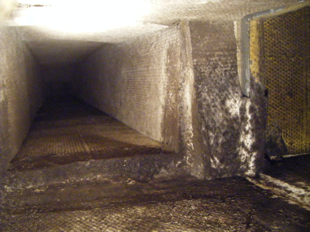 MOLD Advanced Furnace Air Duct Cleaning NJ