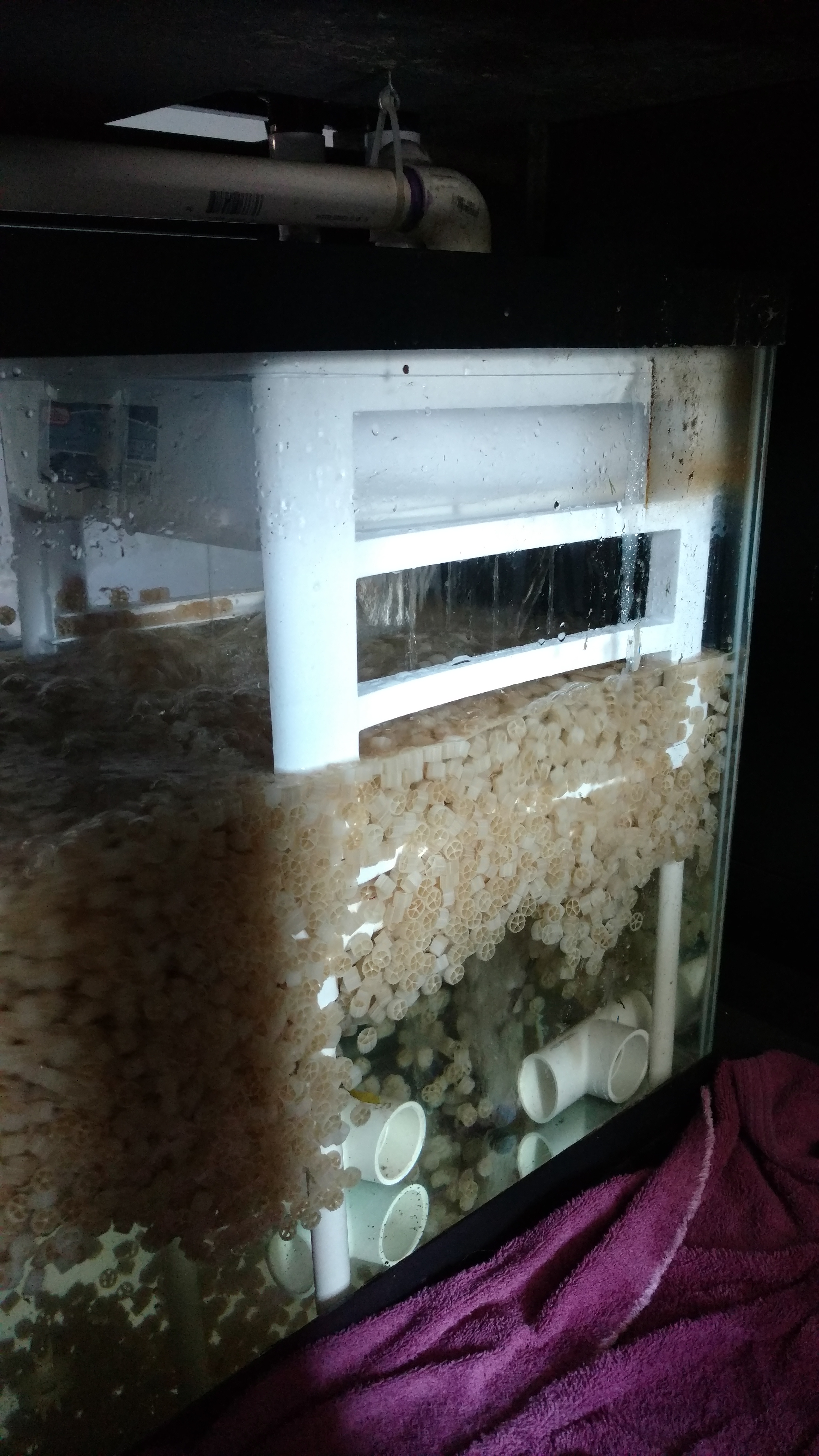 Upgraded the Sump on the 300 Gallon Advanced Aquarium Concepts
