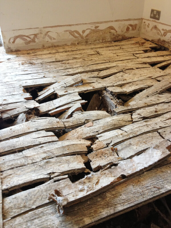 Timber Preservation AP Ltd