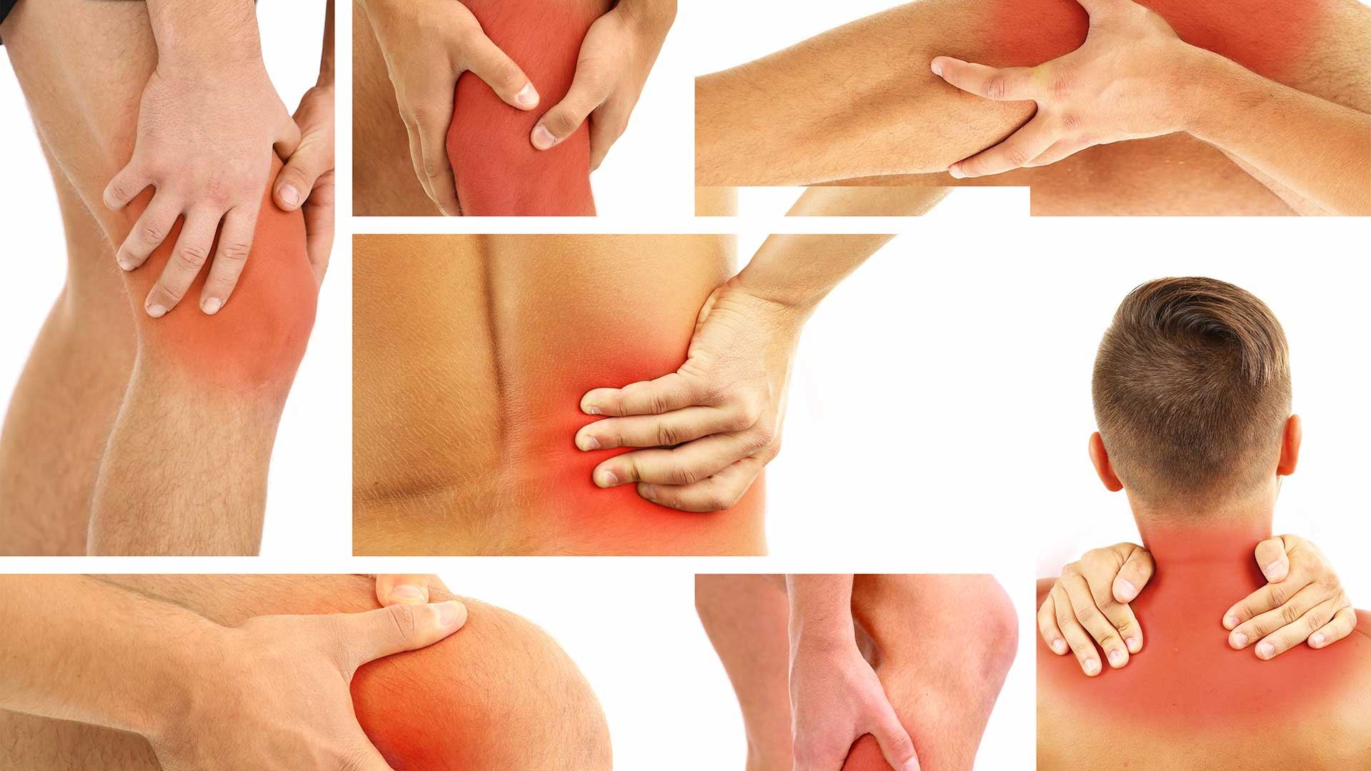 The TOP 3 Fish Oils Benefit Every Family Needs ABD Chiropractic