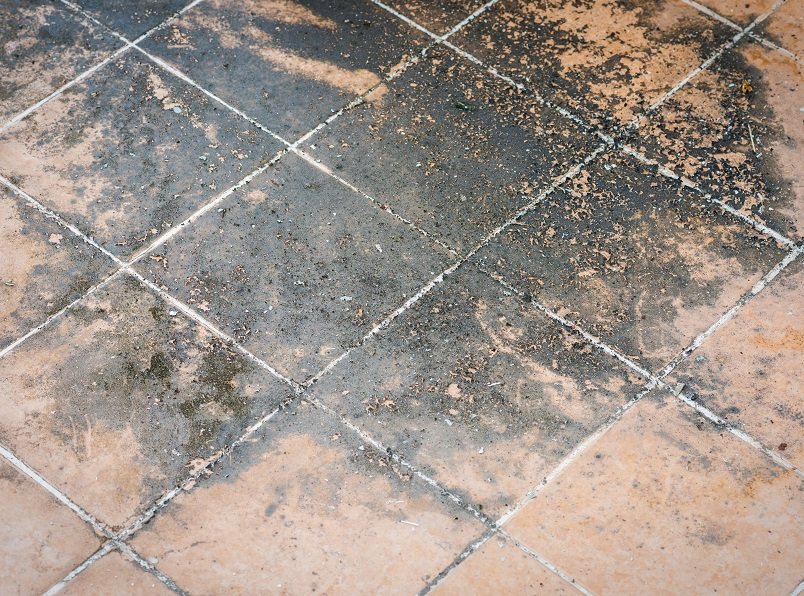 Damp Proof Flooring Floor Damp Specialists Advanced Damp
