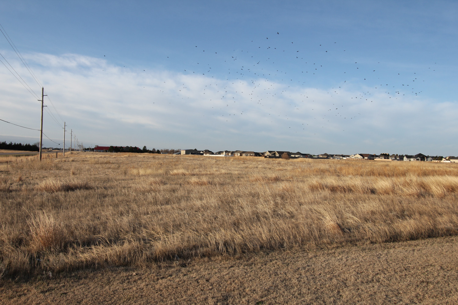 Lyn Klein Advanced Real Estate