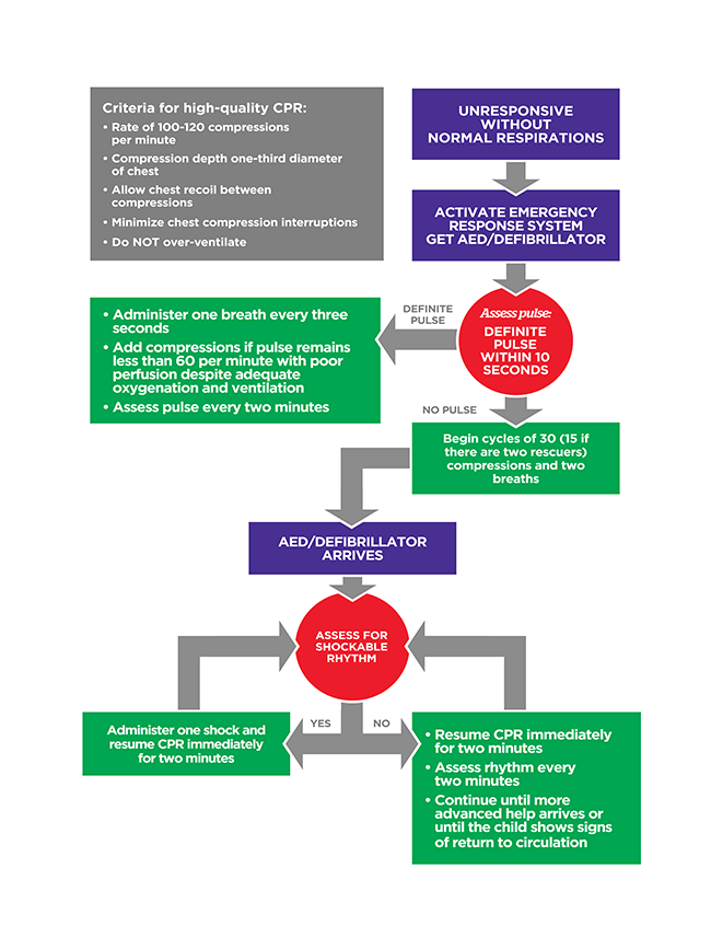 Pediatric BLS Algorithm PALS Online Handbook