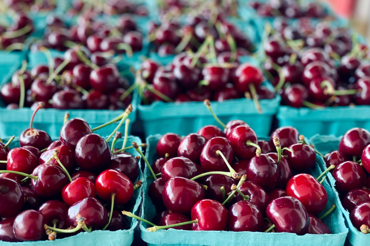 Canton, MI 48188 Veterinary Jobs