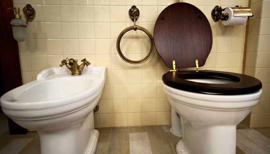 How to Sit on a Bidet A NoTears Guide