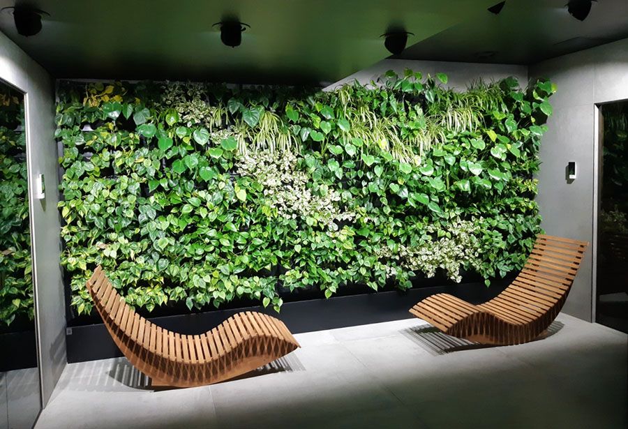 How green walls work Advance Plants
