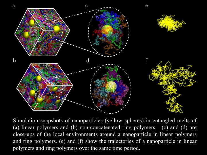 Nanoparticle Motion in Entangled Melts of Linear and Nonconcatenated
