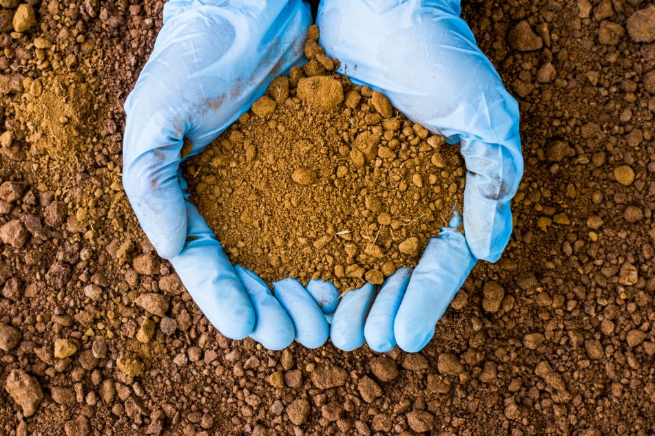Waste Water Cleaning & Sludge Treatment in Singapore