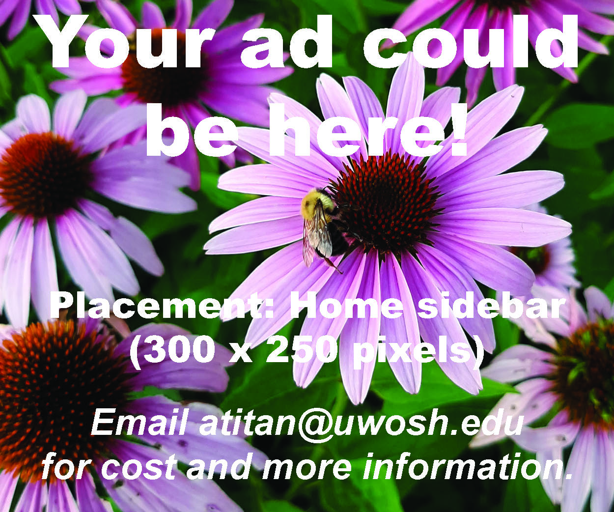 Baldwin respects students The AdvanceTitan