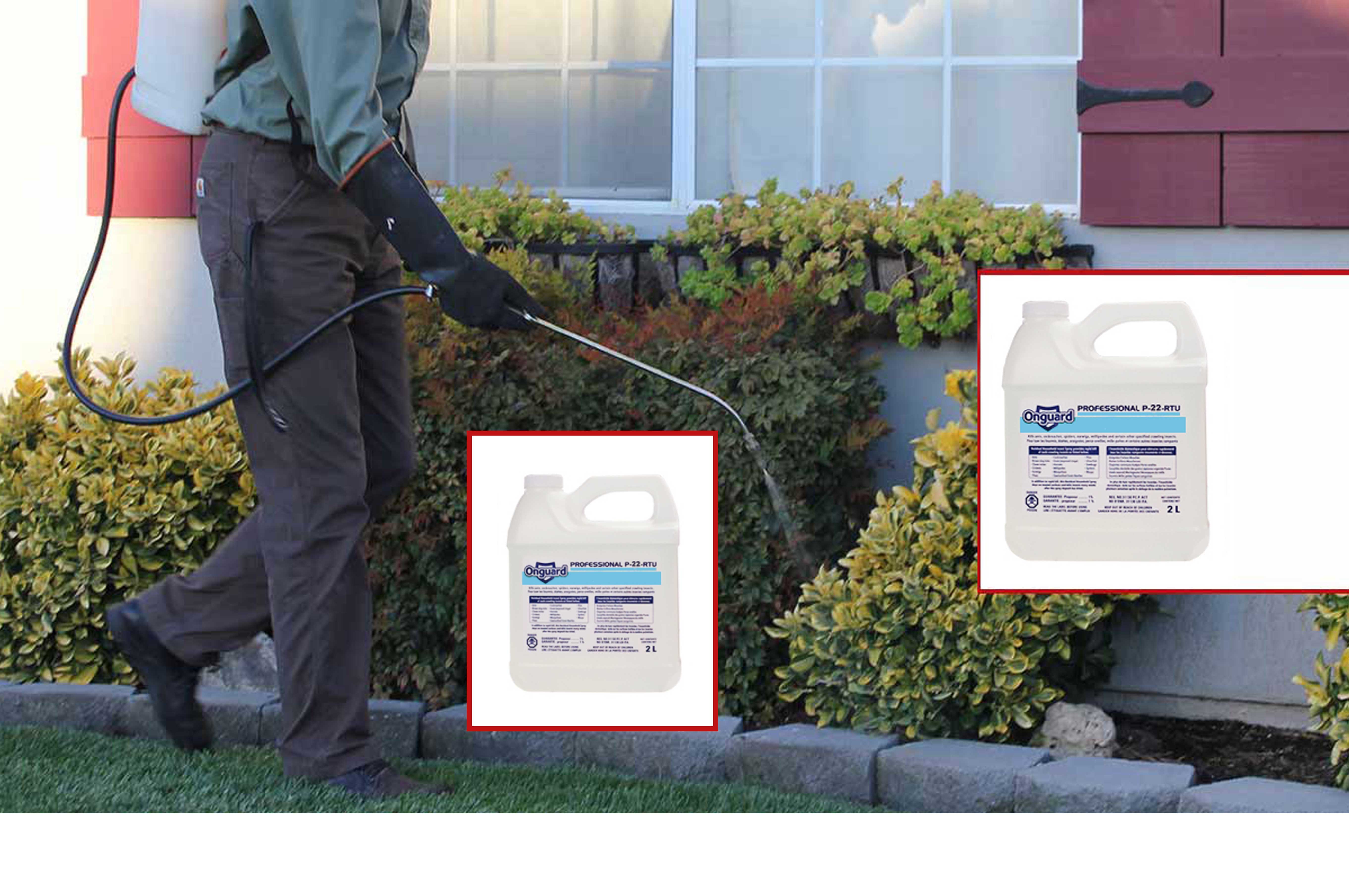 Pest Control Toronto Toronto Pest Control Pest Services Toronto