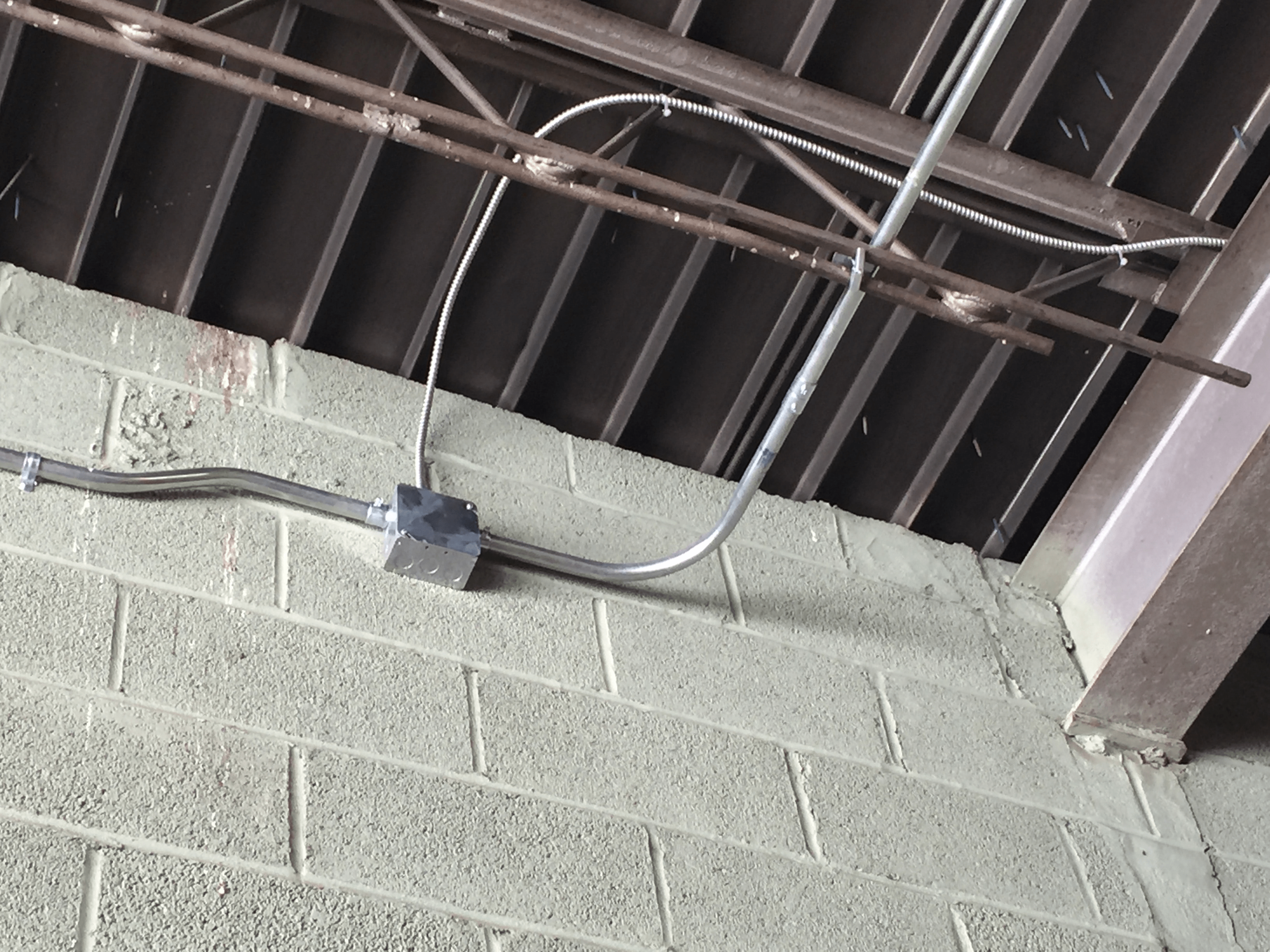 Photos from the field Advantage Pest Control, Inc.