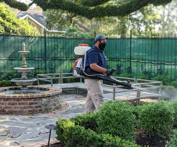 Pest Control Services in Baton Rouge, LA Advantage Services