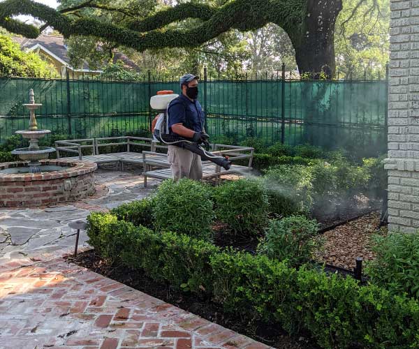 Pest Control Services in Baton Rouge, LA Advantage Services