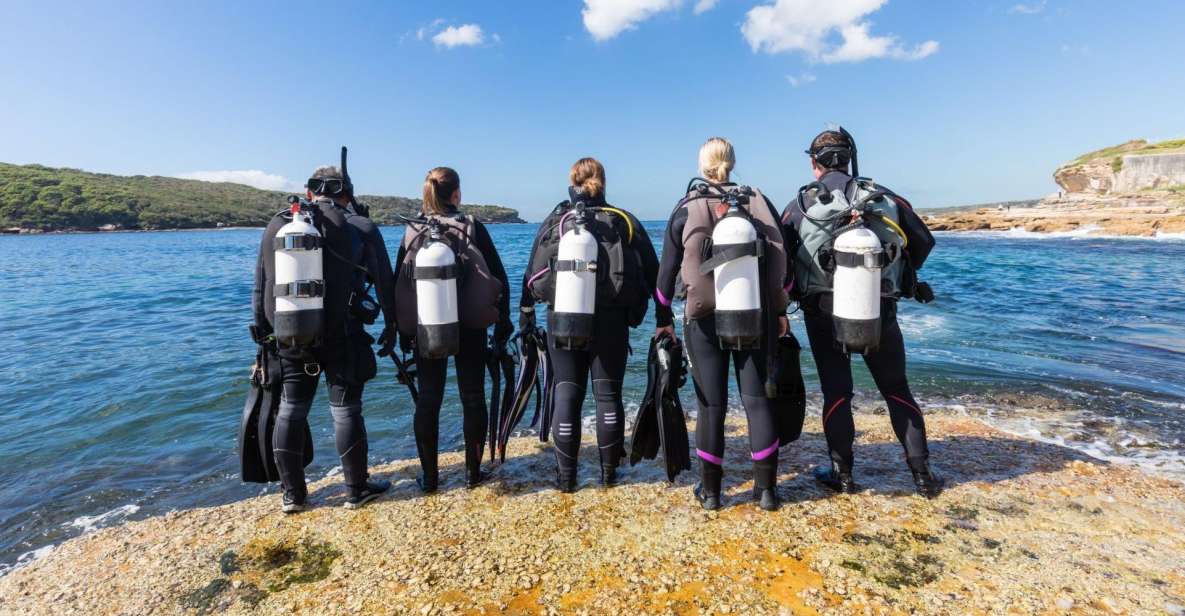 Mauritius Scuba Diving Ultimate Guide (2024) season & tours