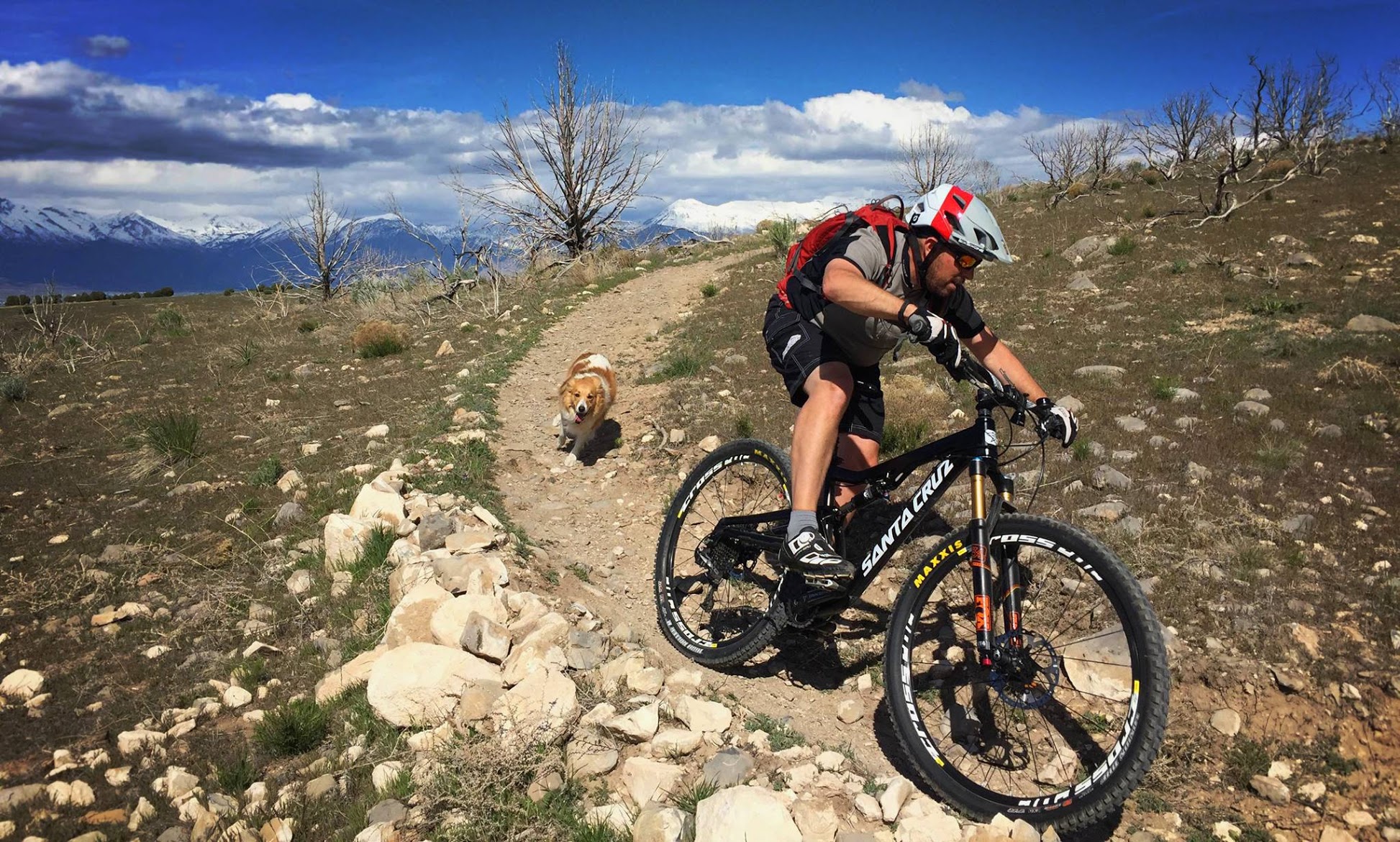 Mountain Bike Dog Basics Adventure Dogs