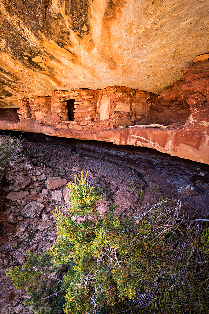 Top Shelf Ruins // ADVENTR.co