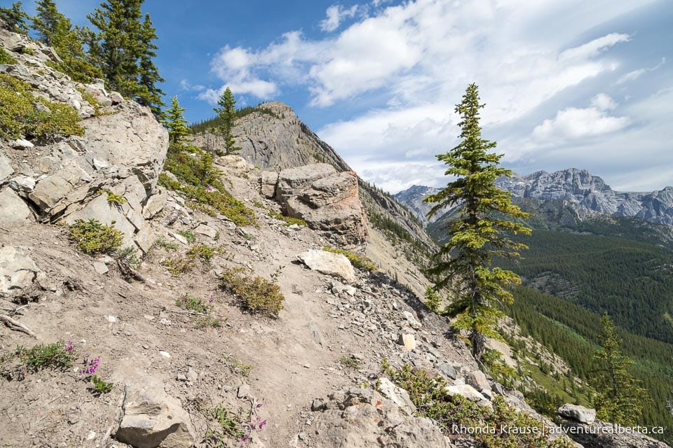 Nordegg Hiking Guide Hikes Near Nordegg and Abraham Lake