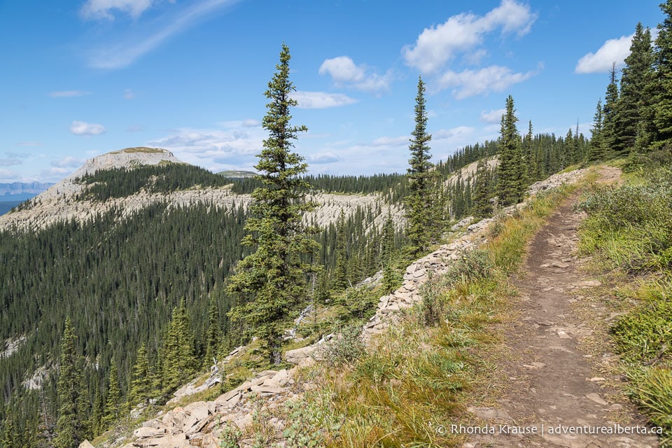 Nordegg Hiking Guide Hikes Near Nordegg and Abraham Lake