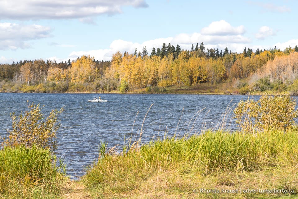 Wabamun Lake Provincial Park Activity and Visitor Guide