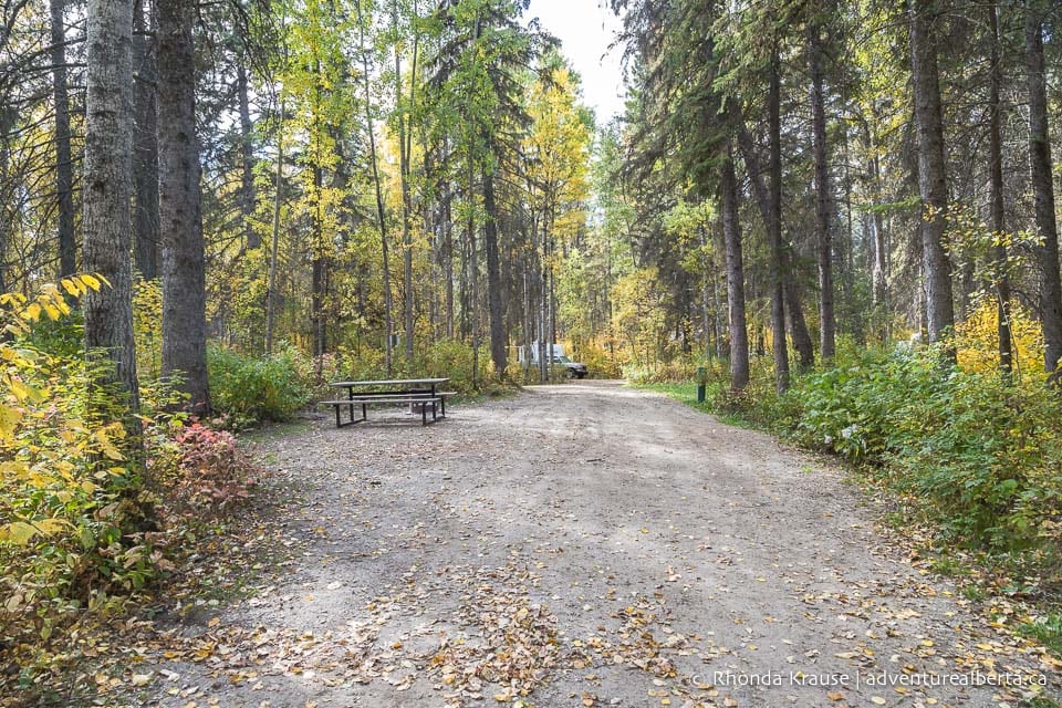 Wabamun Lake Provincial Park Activity and Visitor Guide