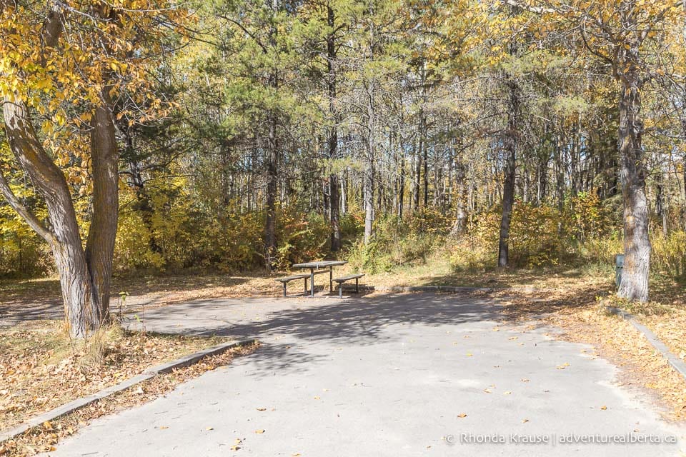 Wabamun Lake Provincial Park Activity and Visitor Guide