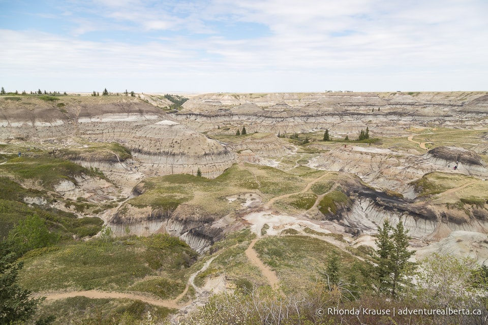 Horseshoe Canyon Drumheller Hiking Horseshoe Canyon Trail
