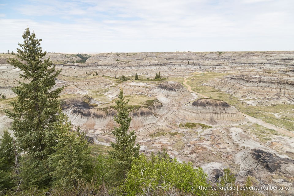 Horseshoe Canyon Drumheller Hiking Horseshoe Canyon Trail