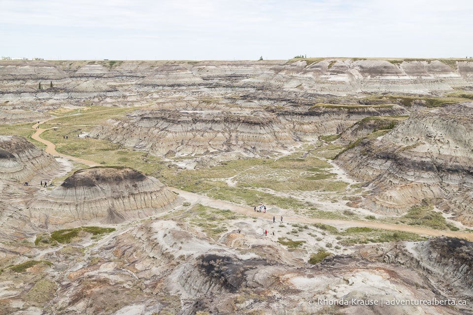 Horseshoe Canyon Drumheller Hiking Horseshoe Canyon Trail