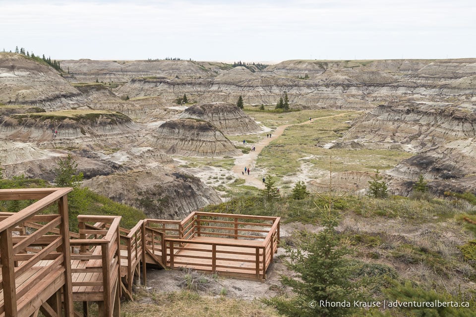 Horseshoe Canyon Drumheller Hiking Horseshoe Canyon Trail