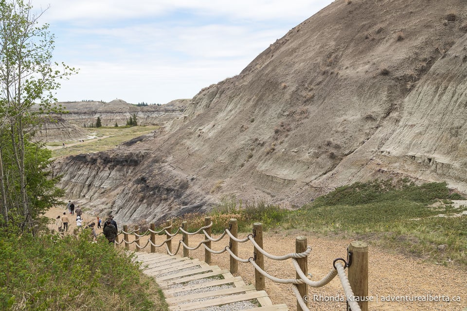 Horseshoe Canyon Drumheller Hiking Horseshoe Canyon Trail