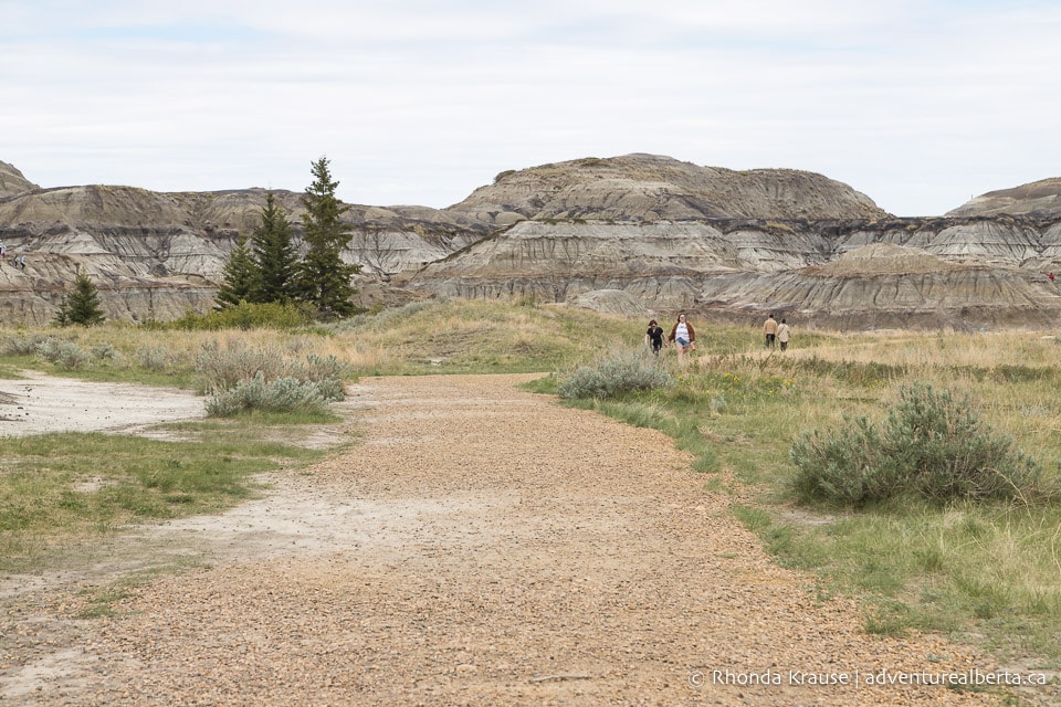 Horseshoe Canyon Drumheller Hiking Horseshoe Canyon Trail